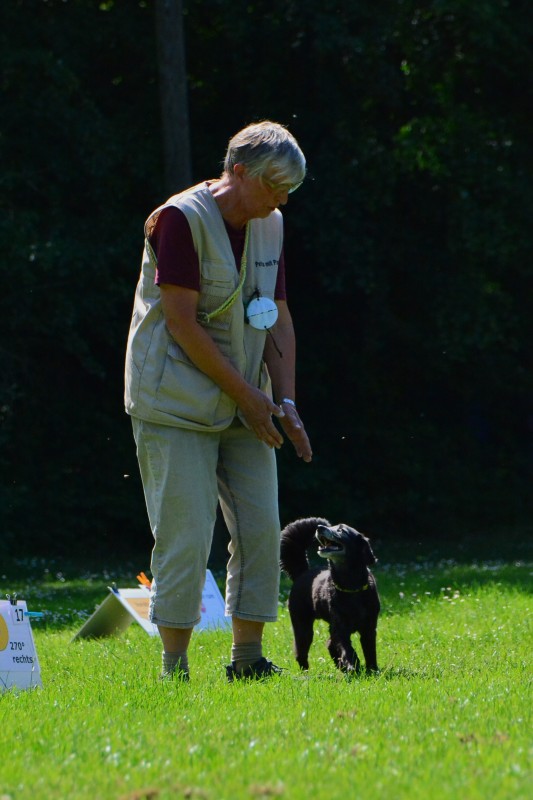 2022-05-22 Rally Obedience Turnier 318