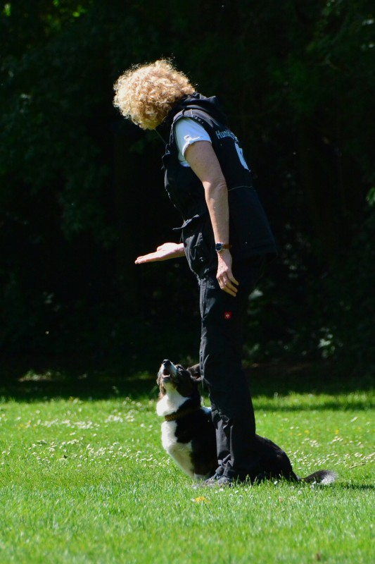 2022-05-22 Rally Obedience Turnier 320