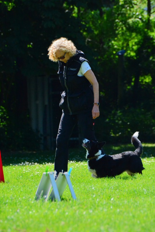 2022-05-22 Rally Obedience Turnier 321