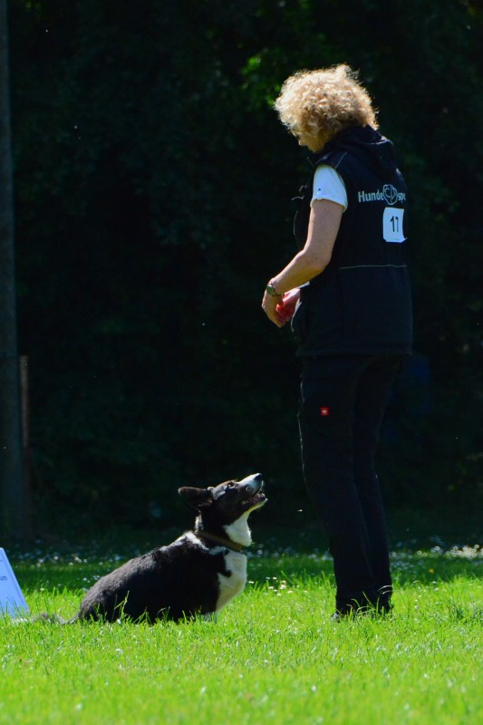 2022-05-22 Rally Obedience Turnier 322