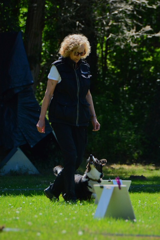 2022-05-22 Rally Obedience Turnier 323