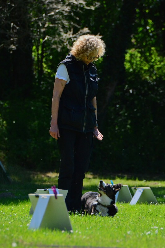 2022-05-22 Rally Obedience Turnier 324