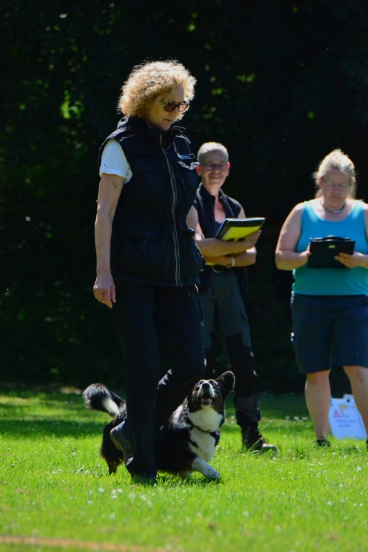 2022-05-22 Rally Obedience Turnier 325