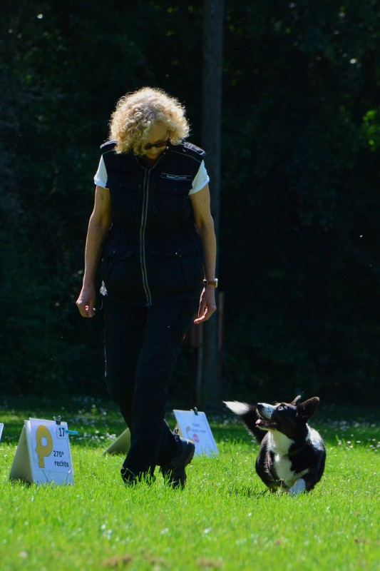 2022-05-22 Rally Obedience Turnier 327