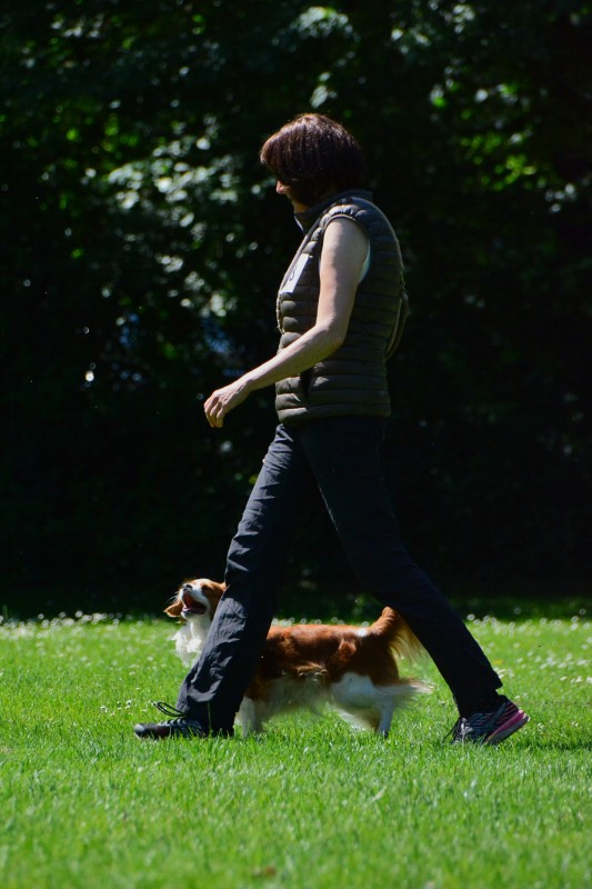 2022-05-22 Rally Obedience Turnier 328