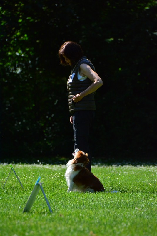 2022-05-22 Rally Obedience Turnier 329