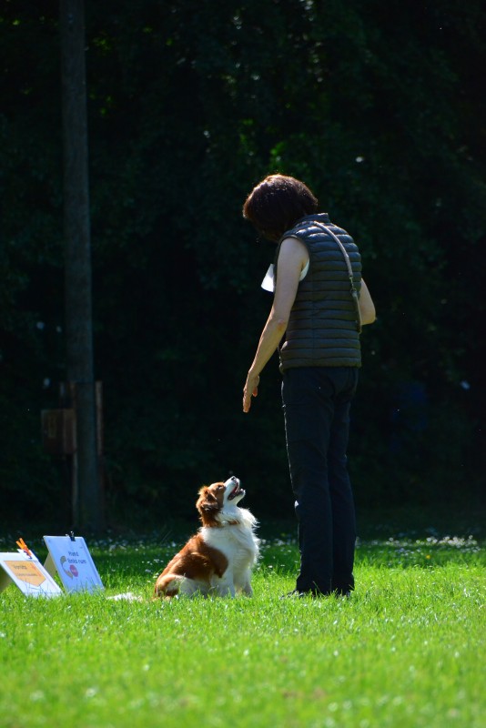2022-05-22 Rally Obedience Turnier 330