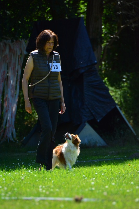 2022-05-22 Rally Obedience Turnier 332