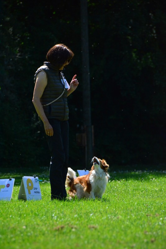 2022-05-22 Rally Obedience Turnier 333