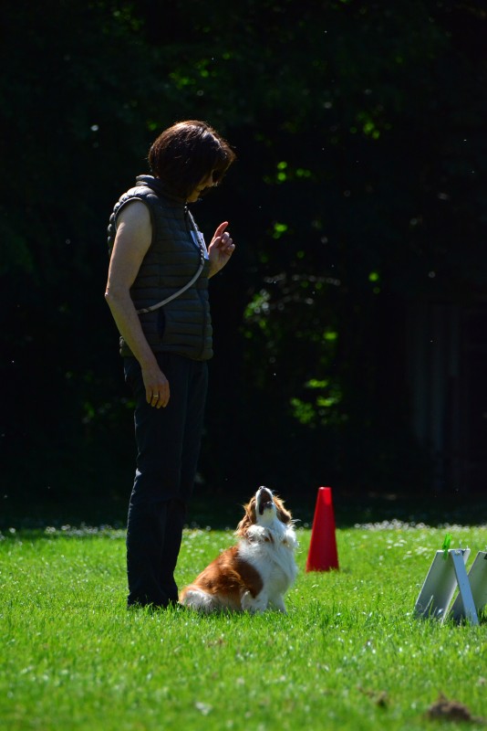 2022-05-22 Rally Obedience Turnier 334