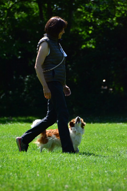 2022-05-22 Rally Obedience Turnier 335