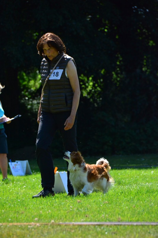 2022-05-22 Rally Obedience Turnier 336