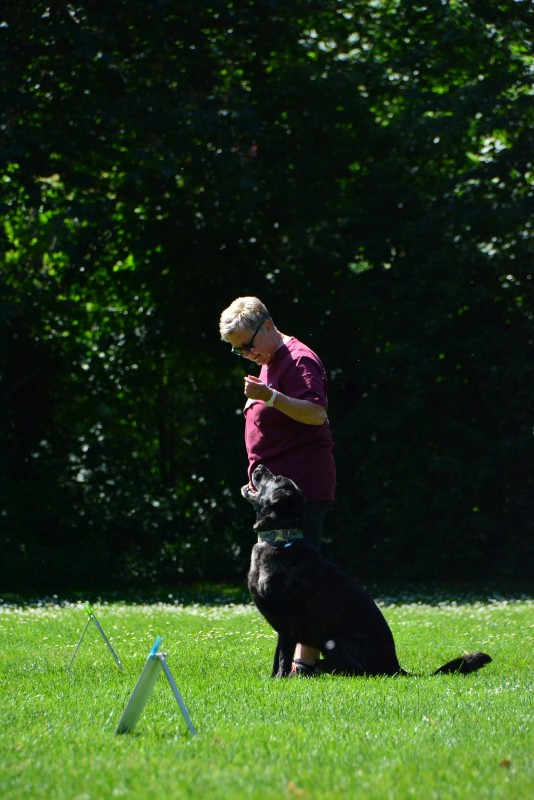 2022-05-22 Rally Obedience Turnier 337