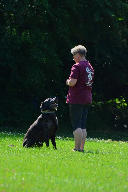 2022-05-22 Rally Obedience Turnier 338