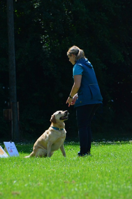 2022-05-22 Rally Obedience Turnier 342