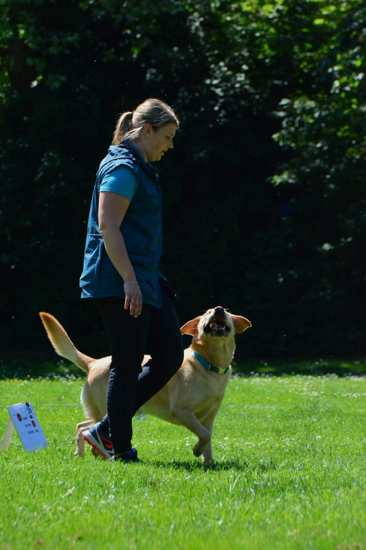 2022-05-22 Rally Obedience Turnier 345