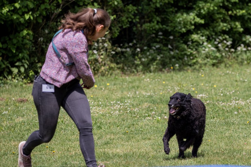 2025-05-29 Hunderennen 005