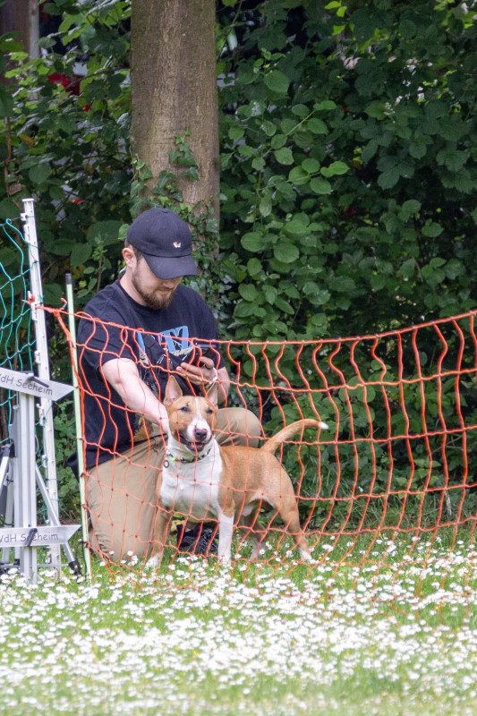 2025-05-29 Hunderennen 015