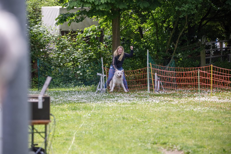2025-05-29 Hunderennen 051