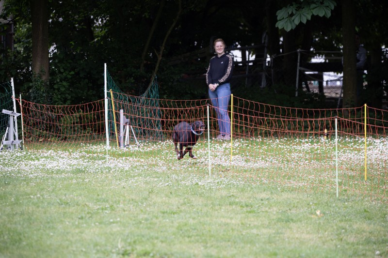 2025-05-29 Hunderennen 098