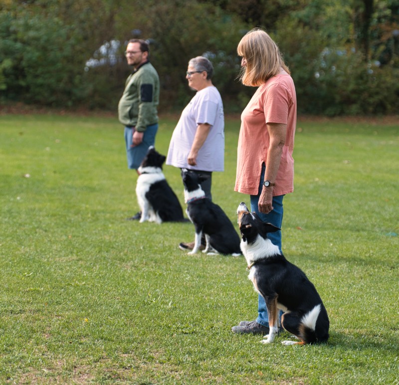 2026-09-05 Obedience Kreismeisterschaft 05