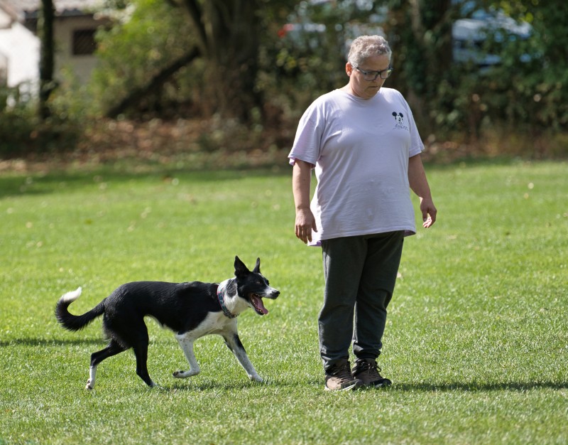 2026-09-05 Obedience Kreismeisterschaft 08