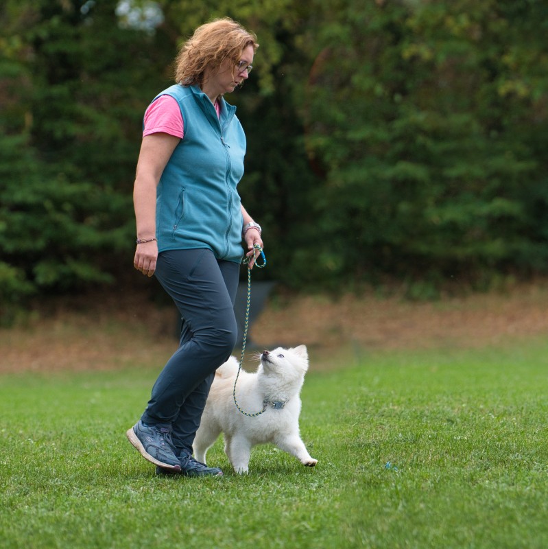 2026-09-05 Obedience Kreismeisterschaft 27
