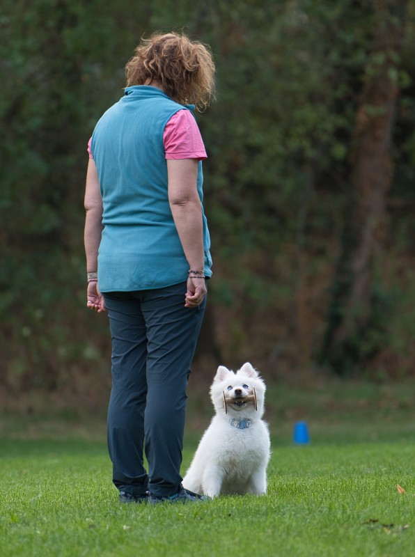 2026-09-05 Obedience Kreismeisterschaft 30