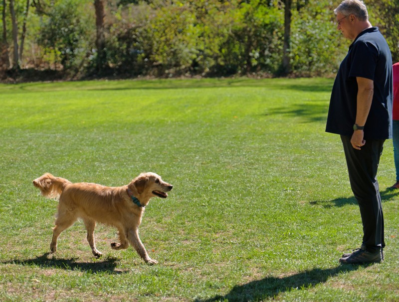 2026-09-05 Obedience Kreismeisterschaft 33