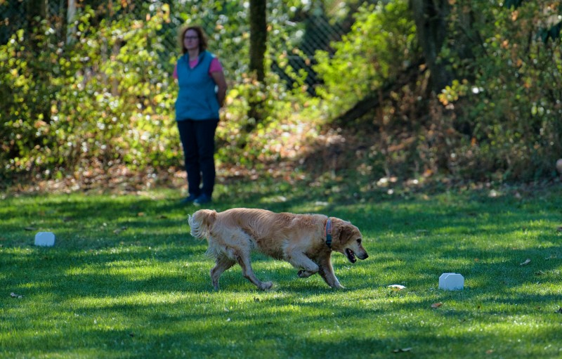 2026-09-05 Obedience Kreismeisterschaft 36