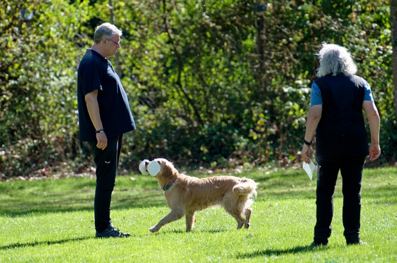 2026-09-05 Obedience Kreismeisterschaft 38