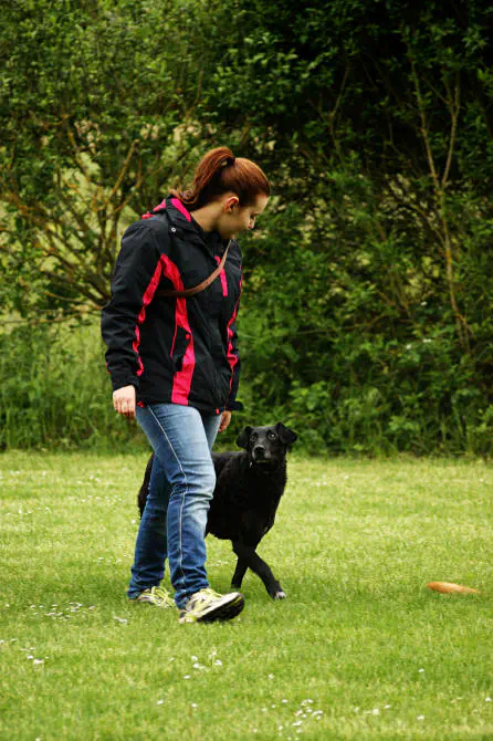 Begleithundepruefung 1