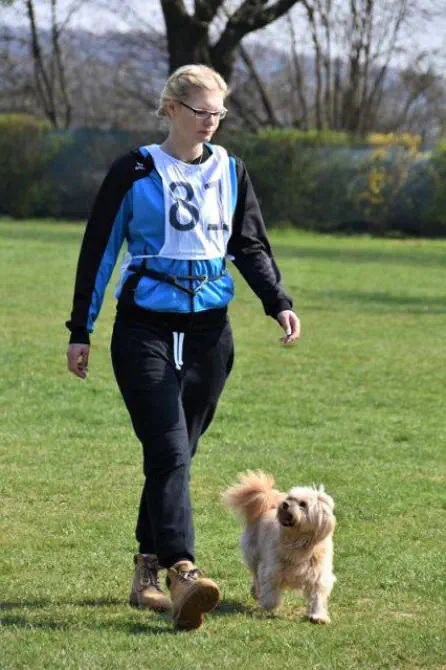 Begleithundepruefung 2