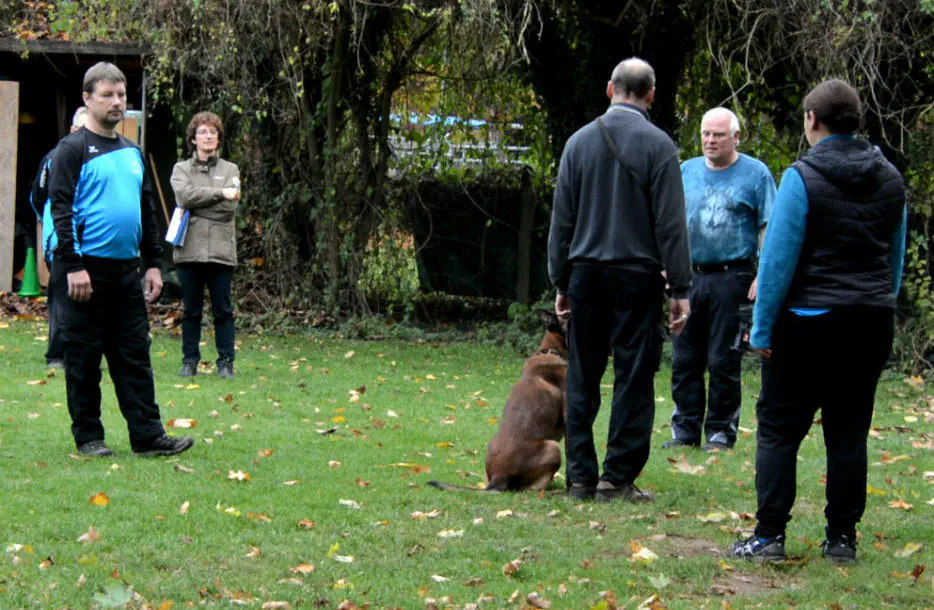 Begleithundepruefung 3