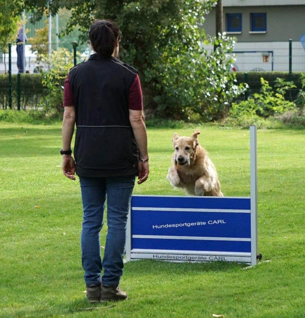 Obedience 2