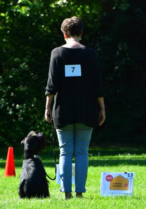Rally Obedience 3