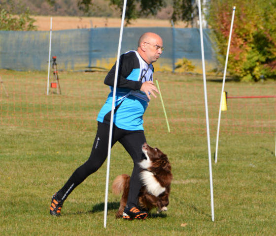 Turnierhundsport 4