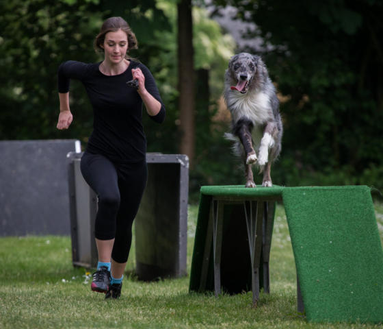 Turnierhundsport 5