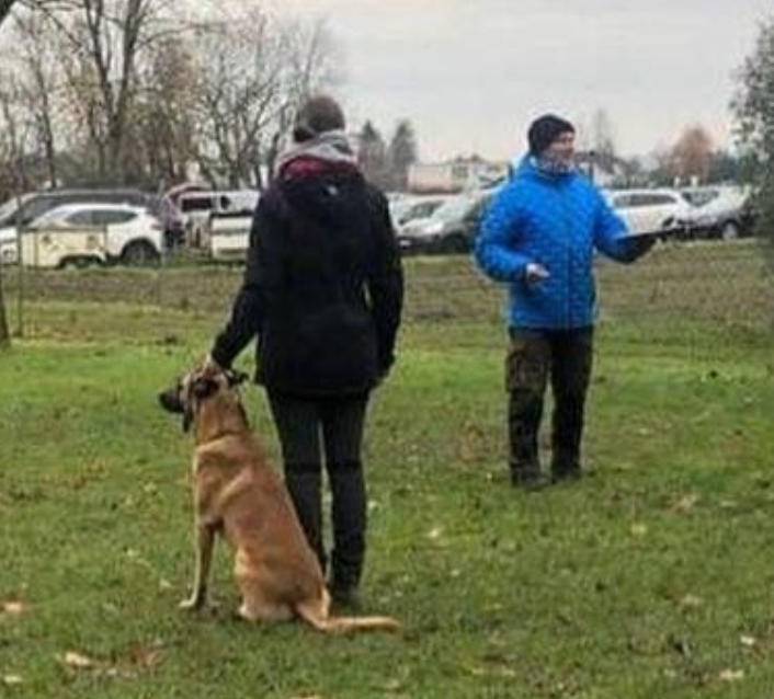2021-11-28 Begleithundepruefung 2