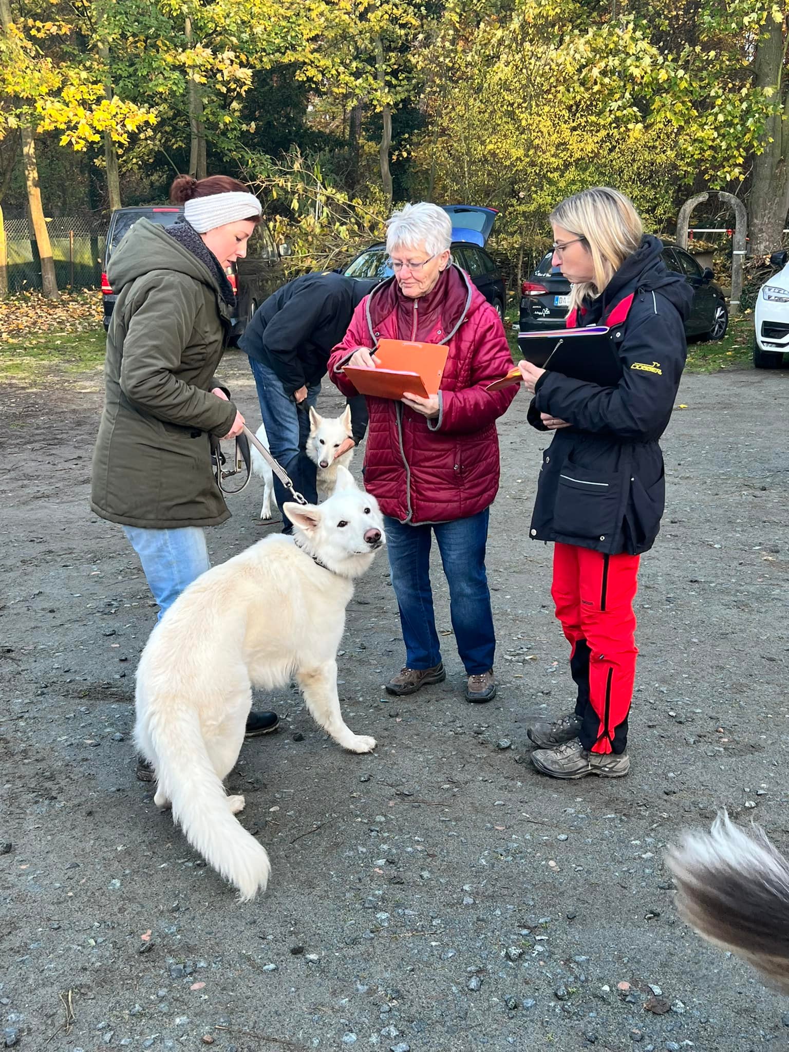 2022-11-26 Herbstrennen 2