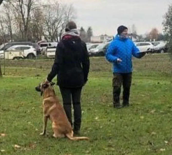 2021-11-28 Begleithundepruefung 2