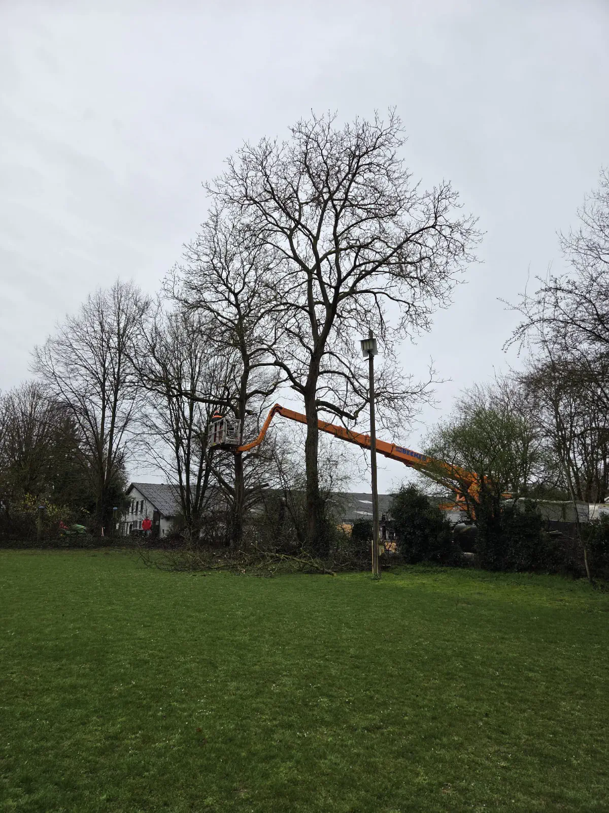 2026-03-14 Arbeitseinsatz 01