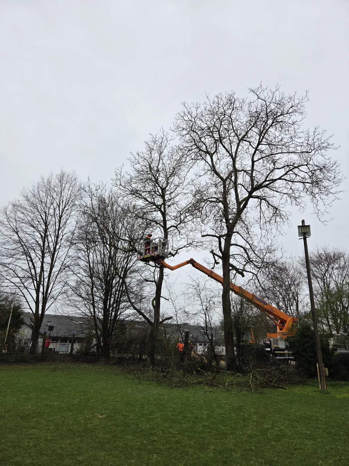 2026-03-14 Arbeitseinsatz 02