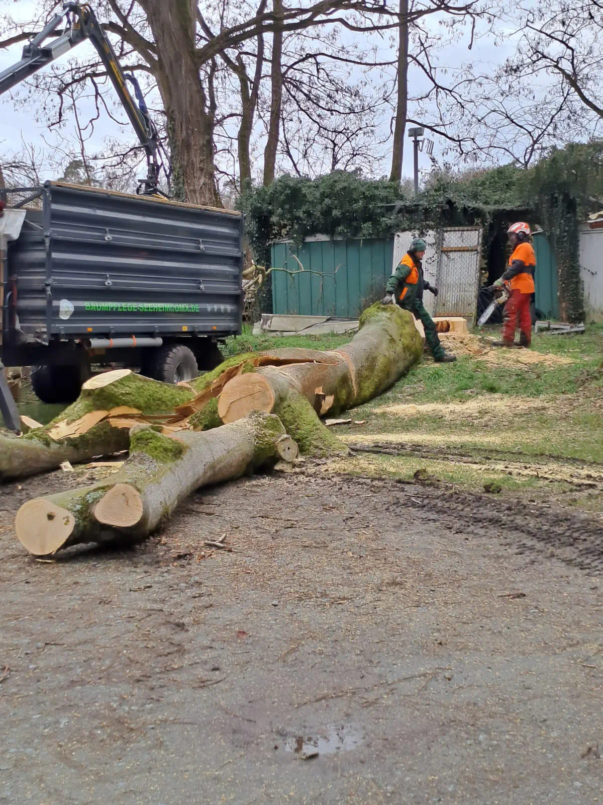 2026-03-14 Arbeitseinsatz 07