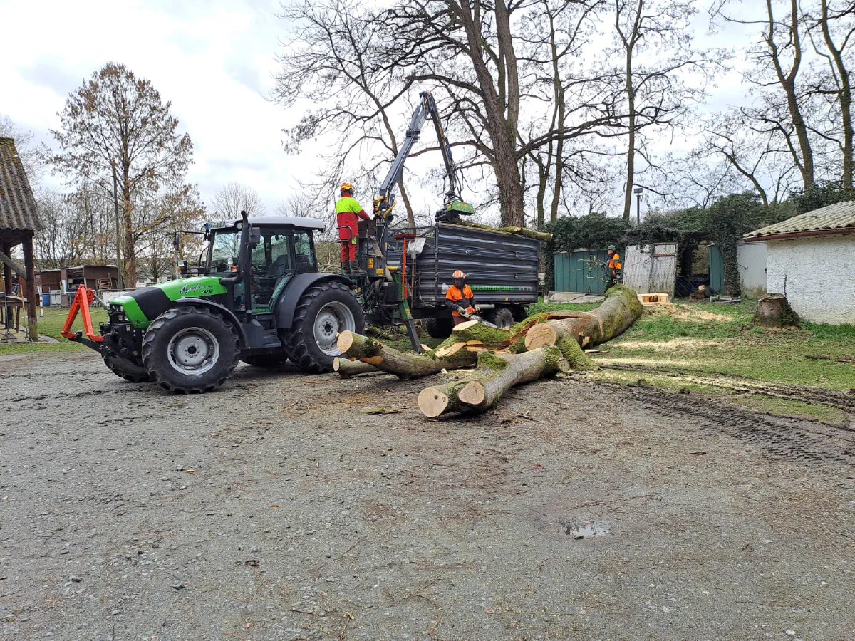 2026-03-14 Arbeitseinsatz 08