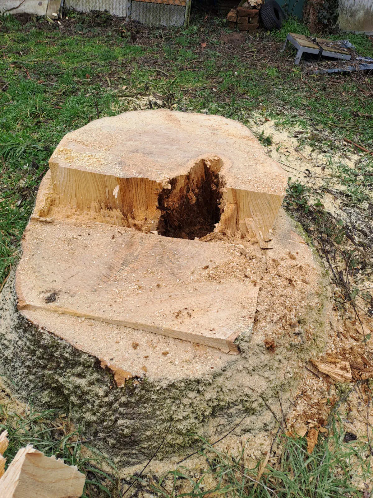 2026-03-14 Arbeitseinsatz 09