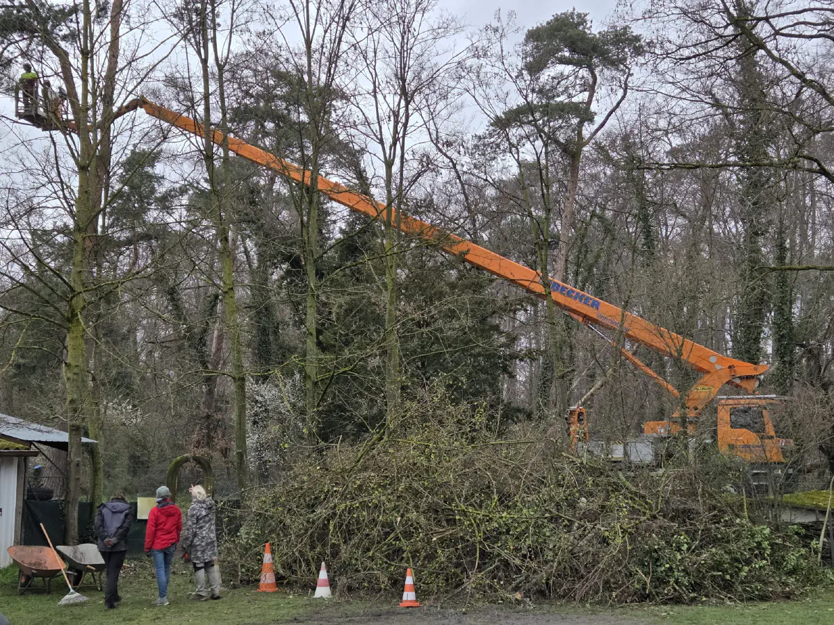 2026-03-14 Arbeitseinsatz 10