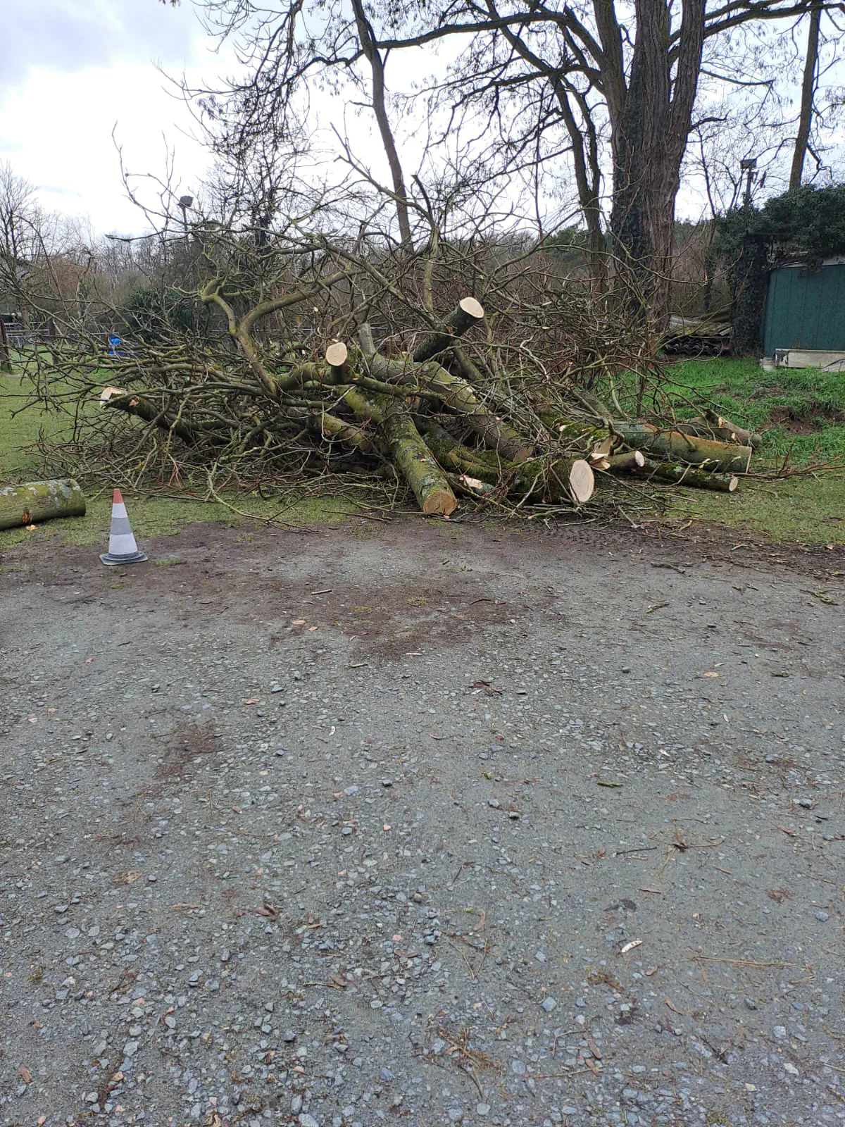 2026-03-14 Arbeitseinsatz 11