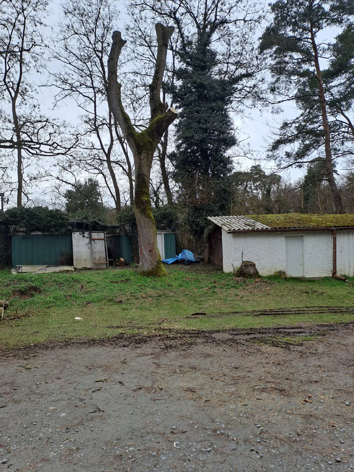 2026-03-14 Arbeitseinsatz 12