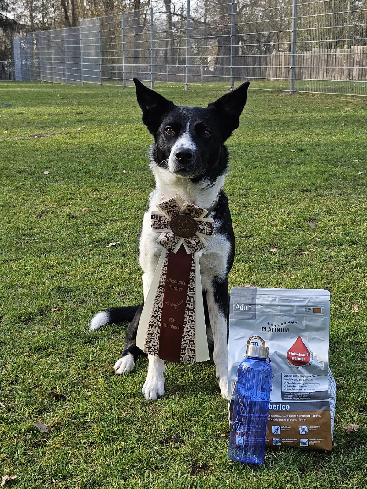 2026-03-08 Obedience 1